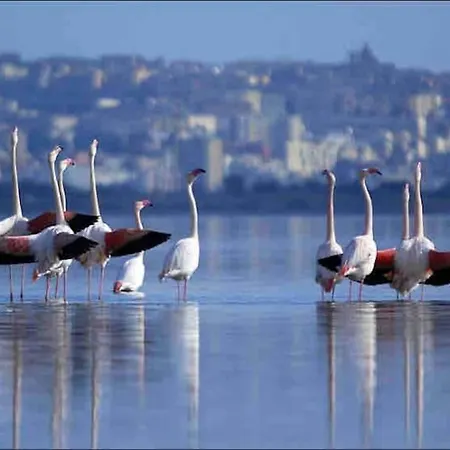 Poetto - 5 Min Form The - Free Park - Wi-fi - Self Check In - Netflix Apartment Quartu Sant'Elena